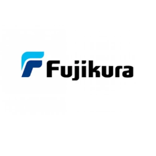 Fujikura Automotive