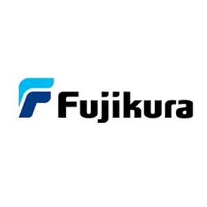 Fujikura Automotive