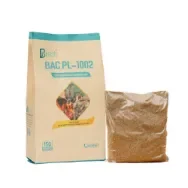 BAC PL-1002: Vi sinh xử lý nước ao nuôi thủy sản